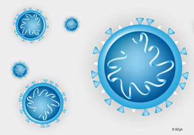  Darstellung Corona-Virus der BzGA 