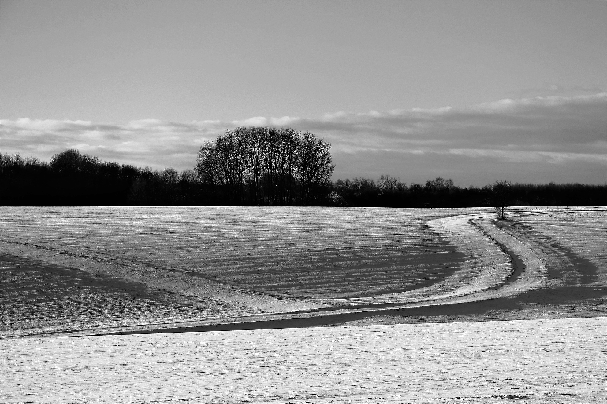  Foto Winterlandschaft von Alfred Weckemann 