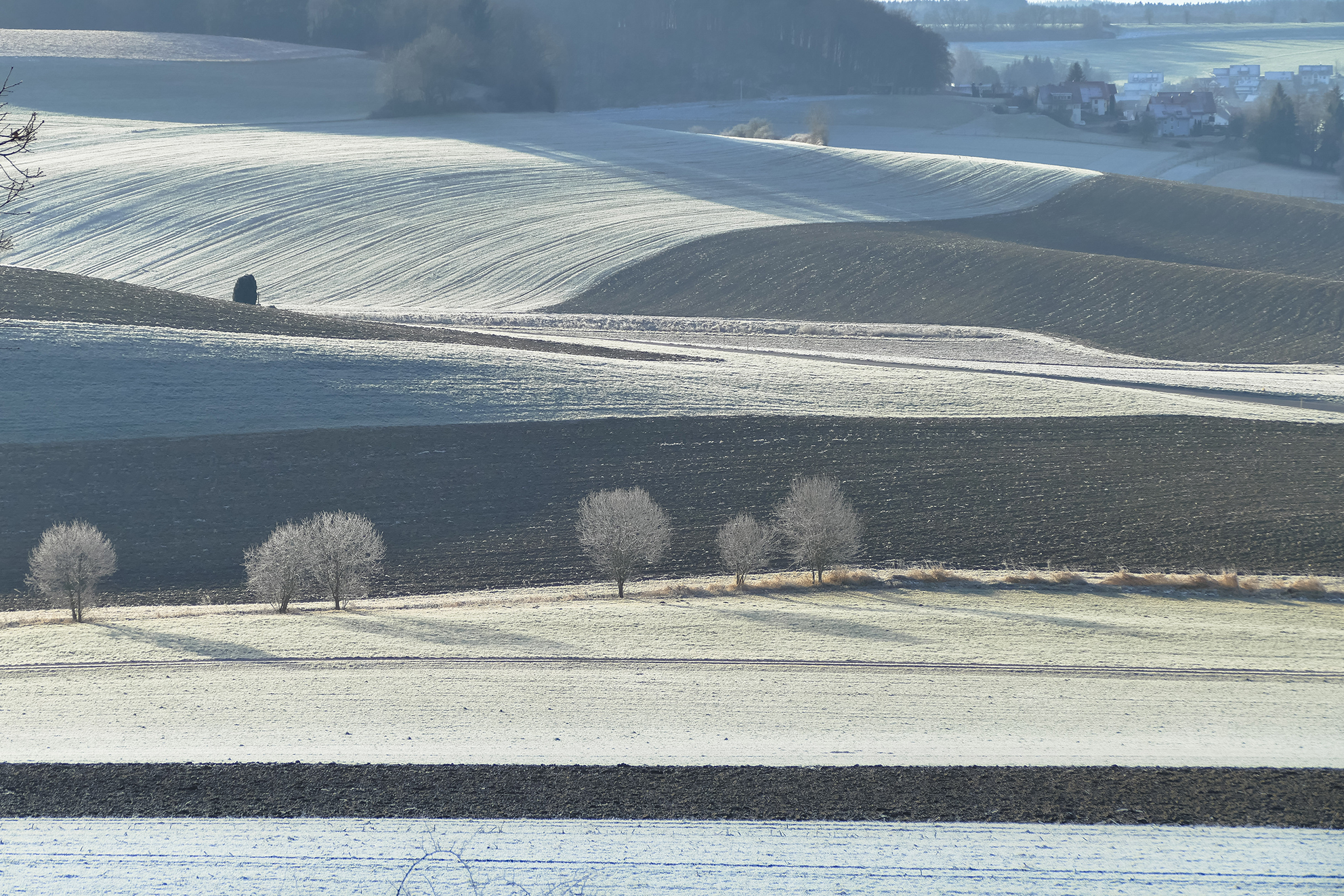  Foto: Weiße Landschaft von Martin Dullenkopf 
